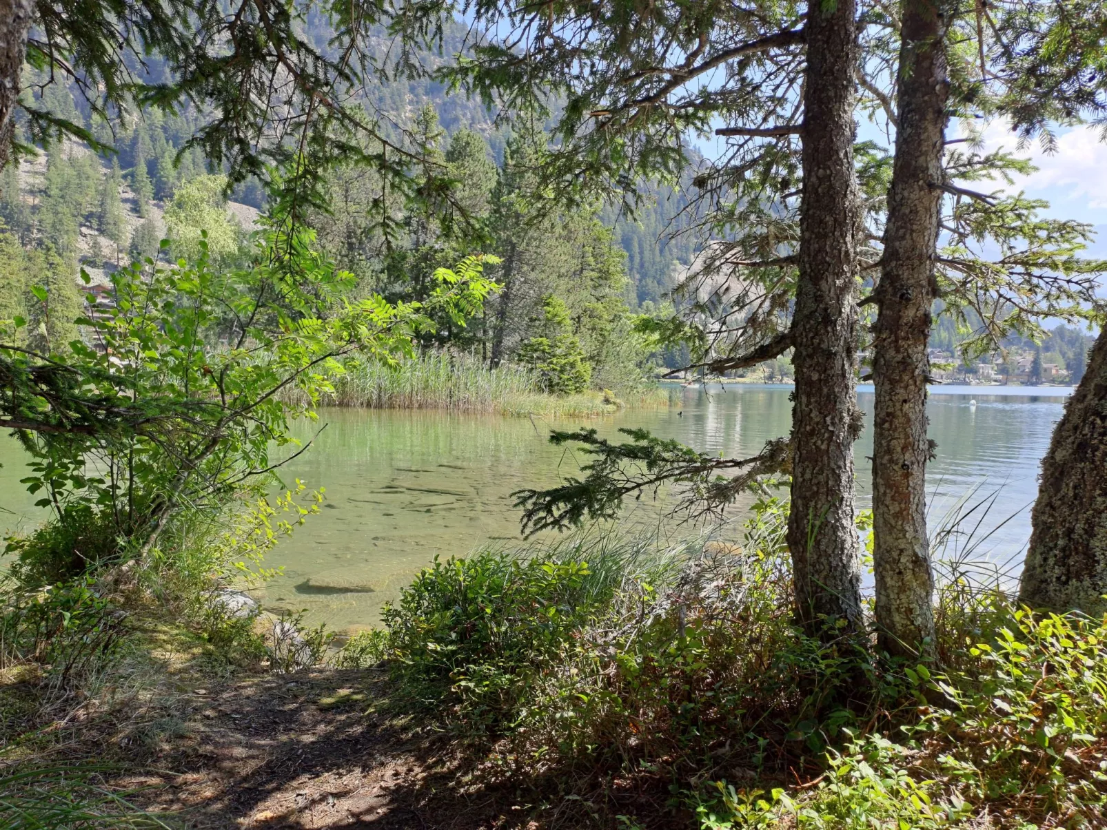 Alpes et Lac 40 - Omgeving