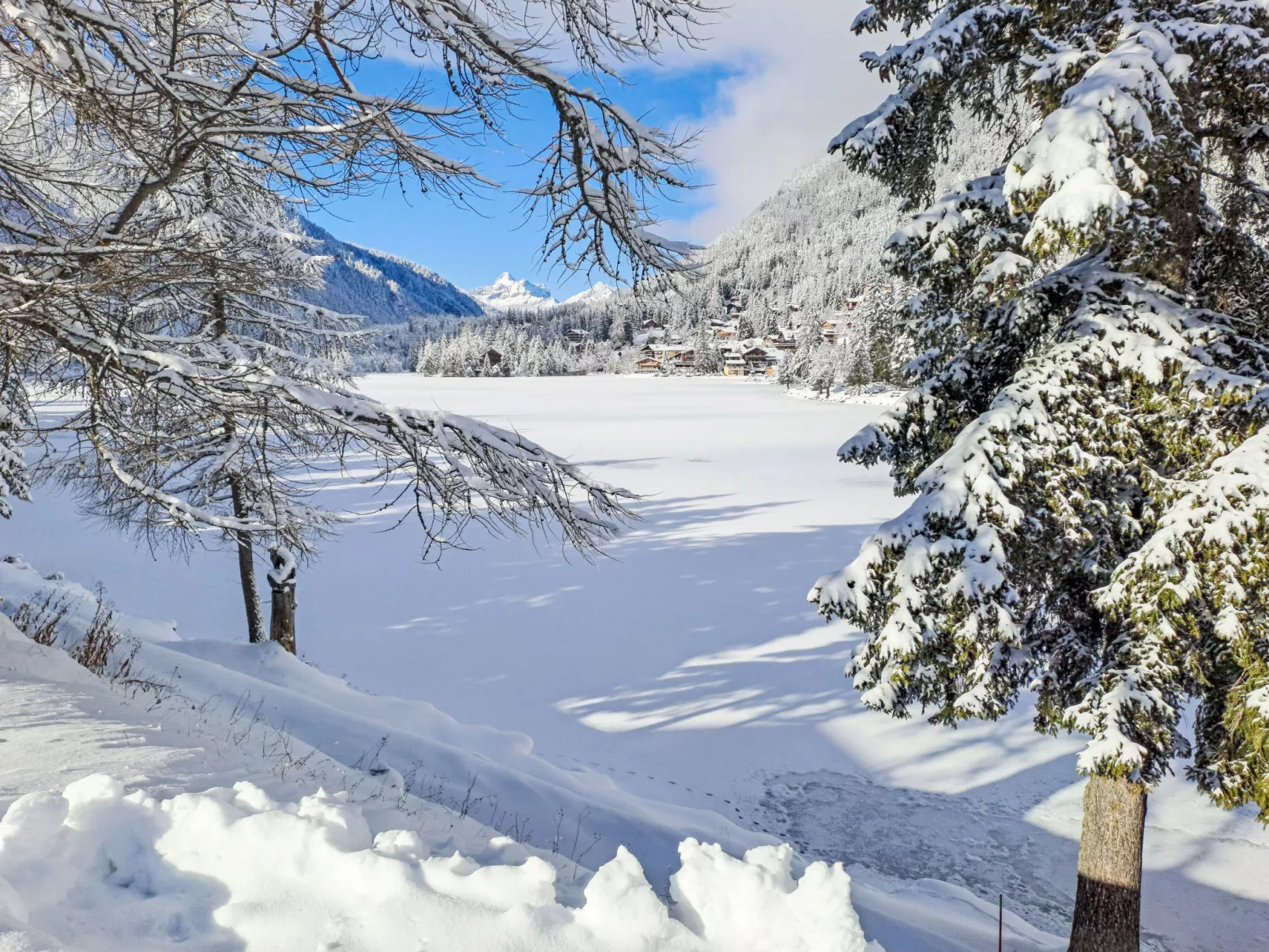 Renaissance 8 - Buiten