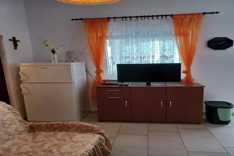 Apartments Topić - One Bedroom Apartment with Terrace (First Floor)