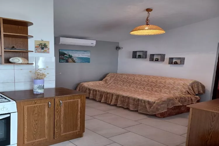 Apartments Topić - One Bedroom Apartment with Terrace (First Floor)