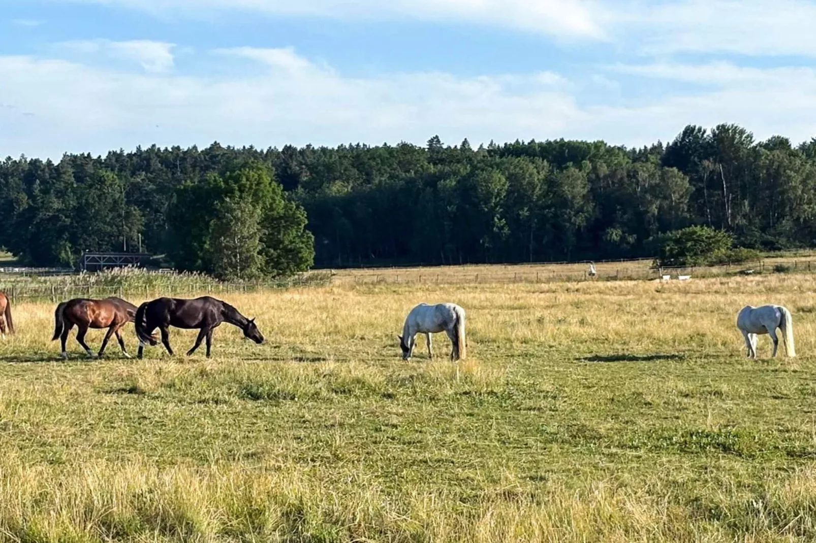 4 Personen vakantie huis in ADELSÖ