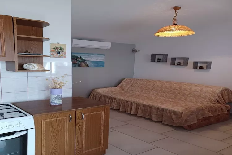 Apartments Topić - One Bedroom Apartment with Terrace (First Floor)