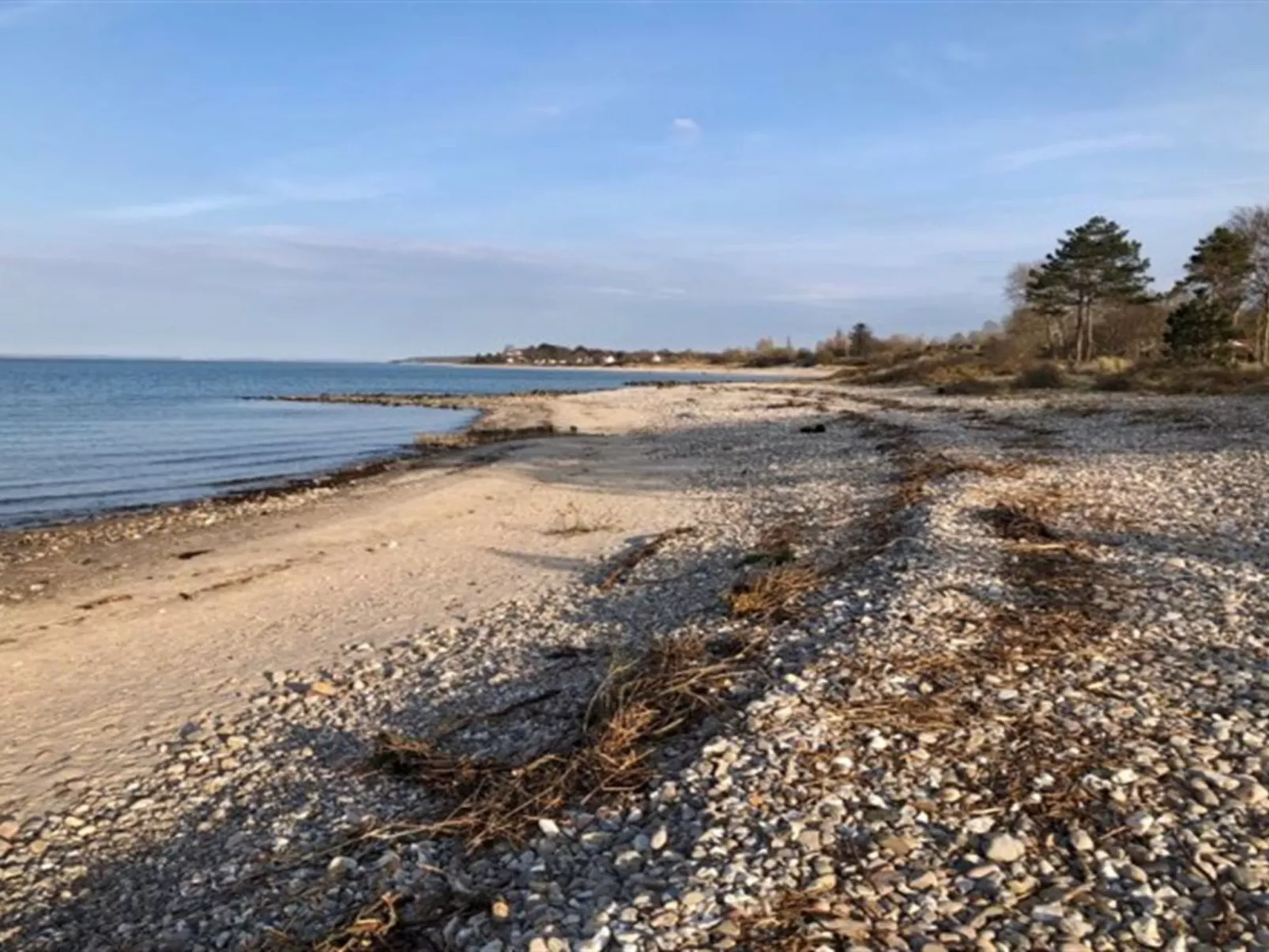 "Hjort" - 100m from the sea