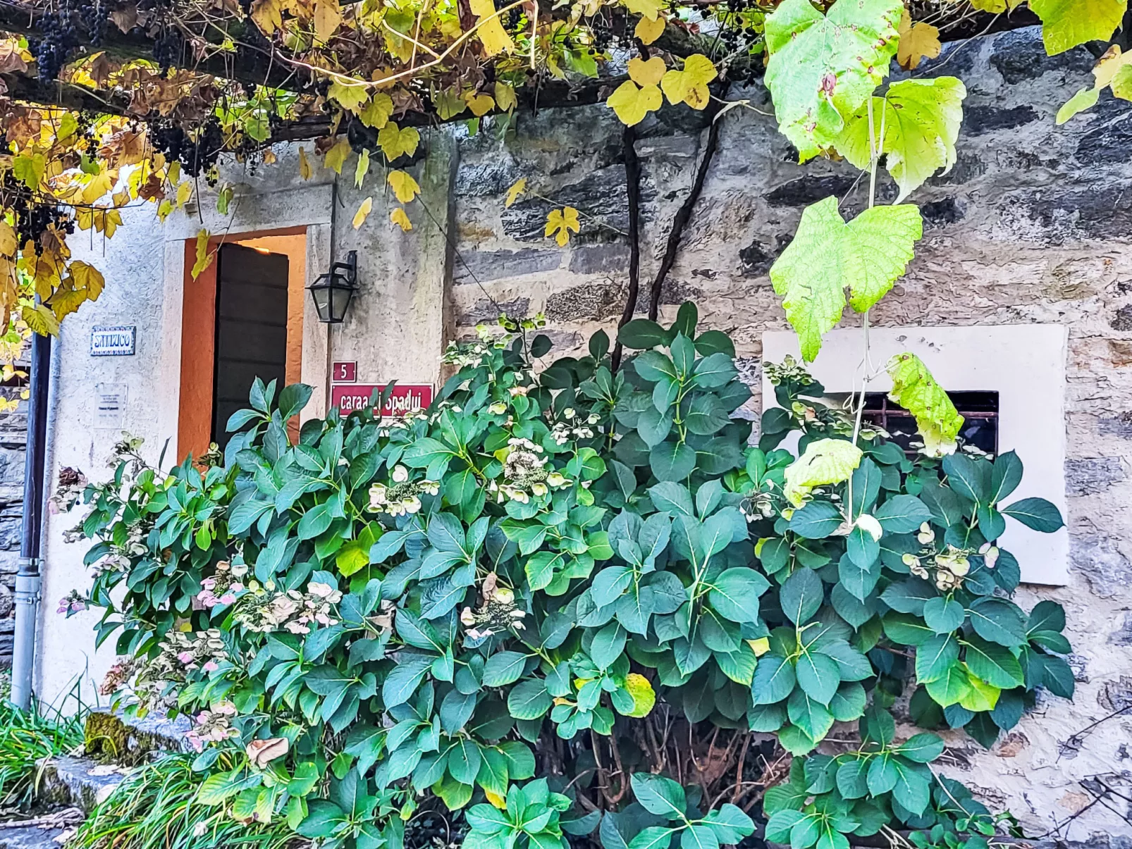 Casa Sambuco - Buiten