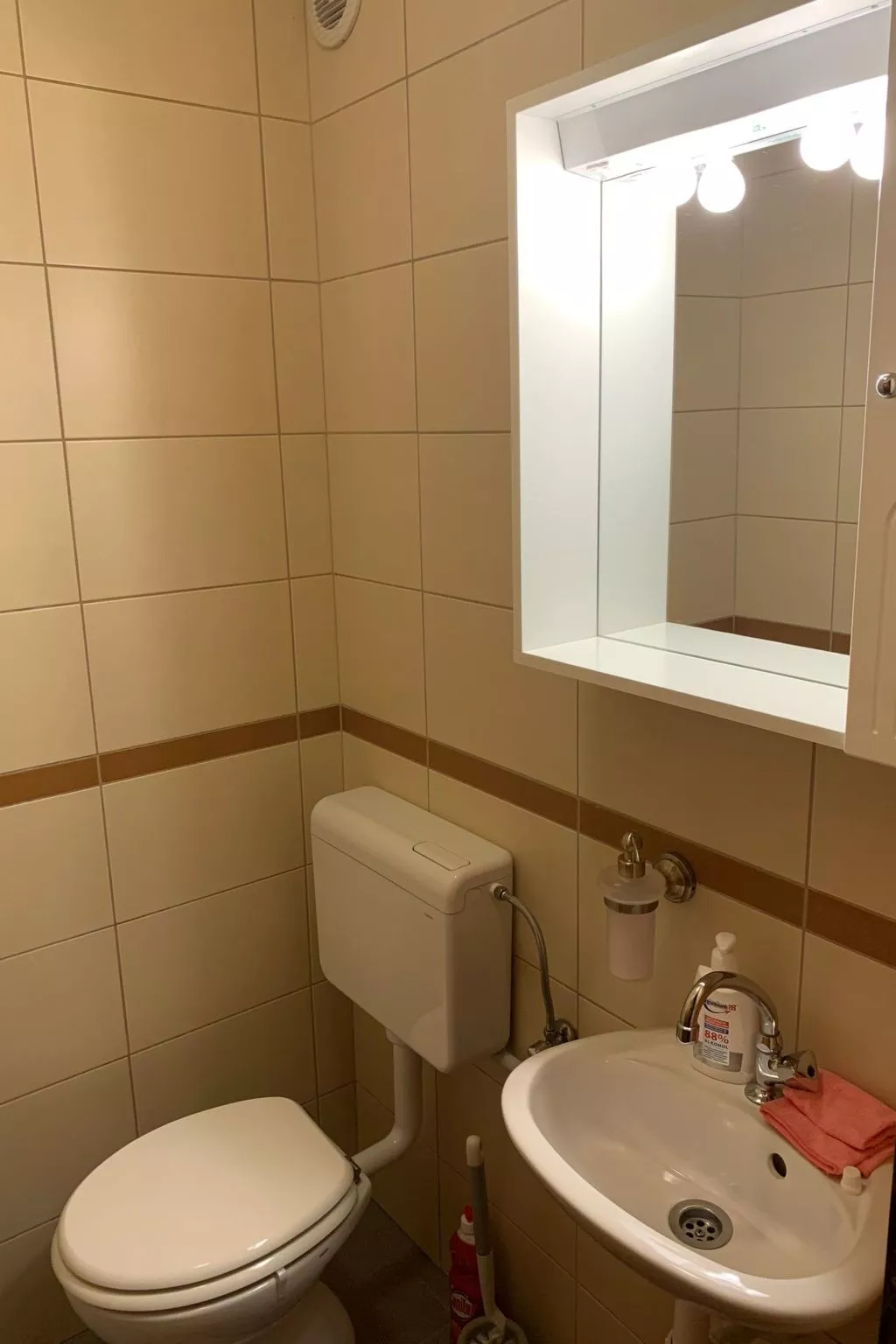 Große Ferienwohnung in Ližnjan mit Offenem Kamin - Image-tags.info