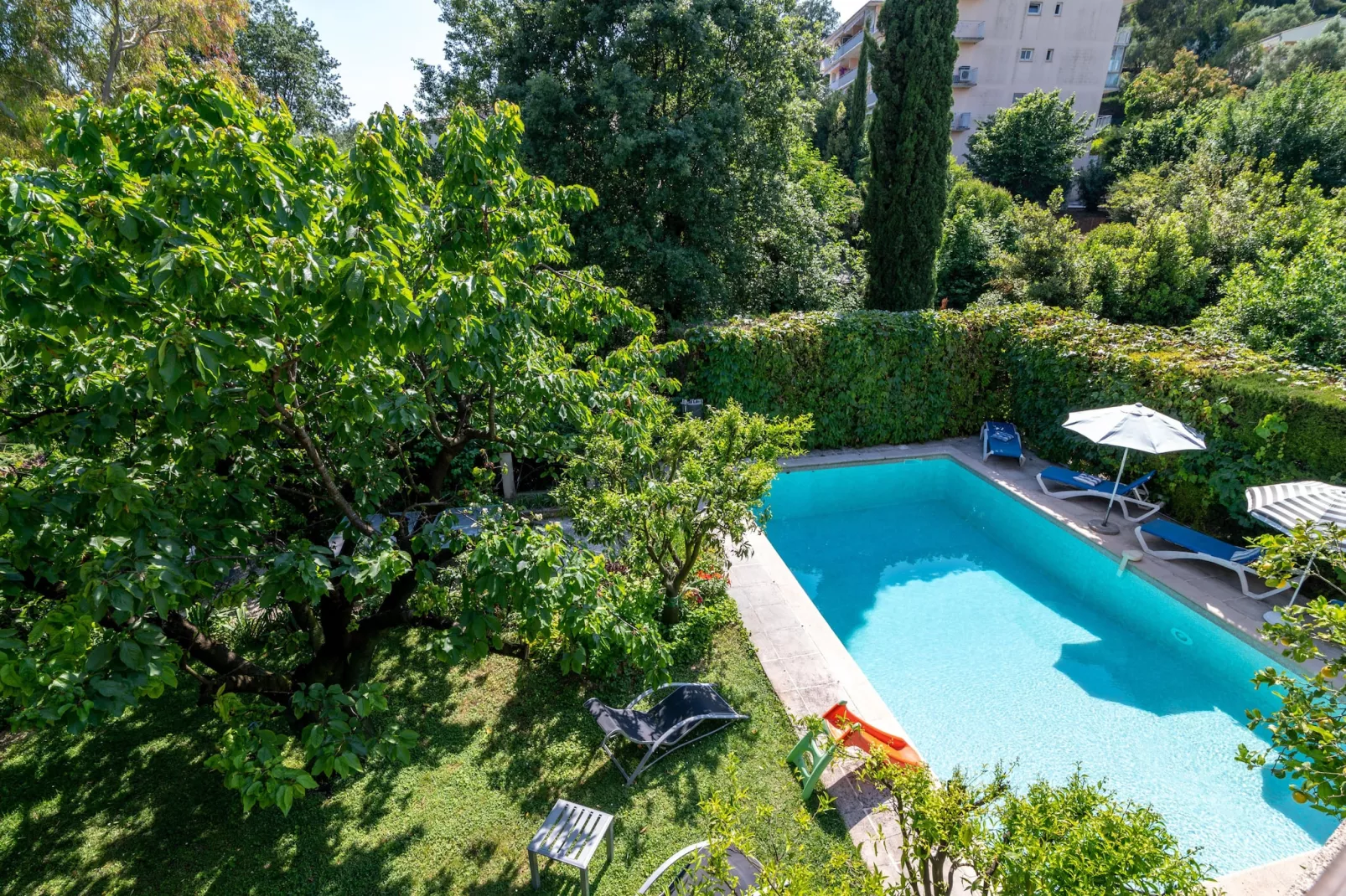 Oasis d'amon - Zwembad