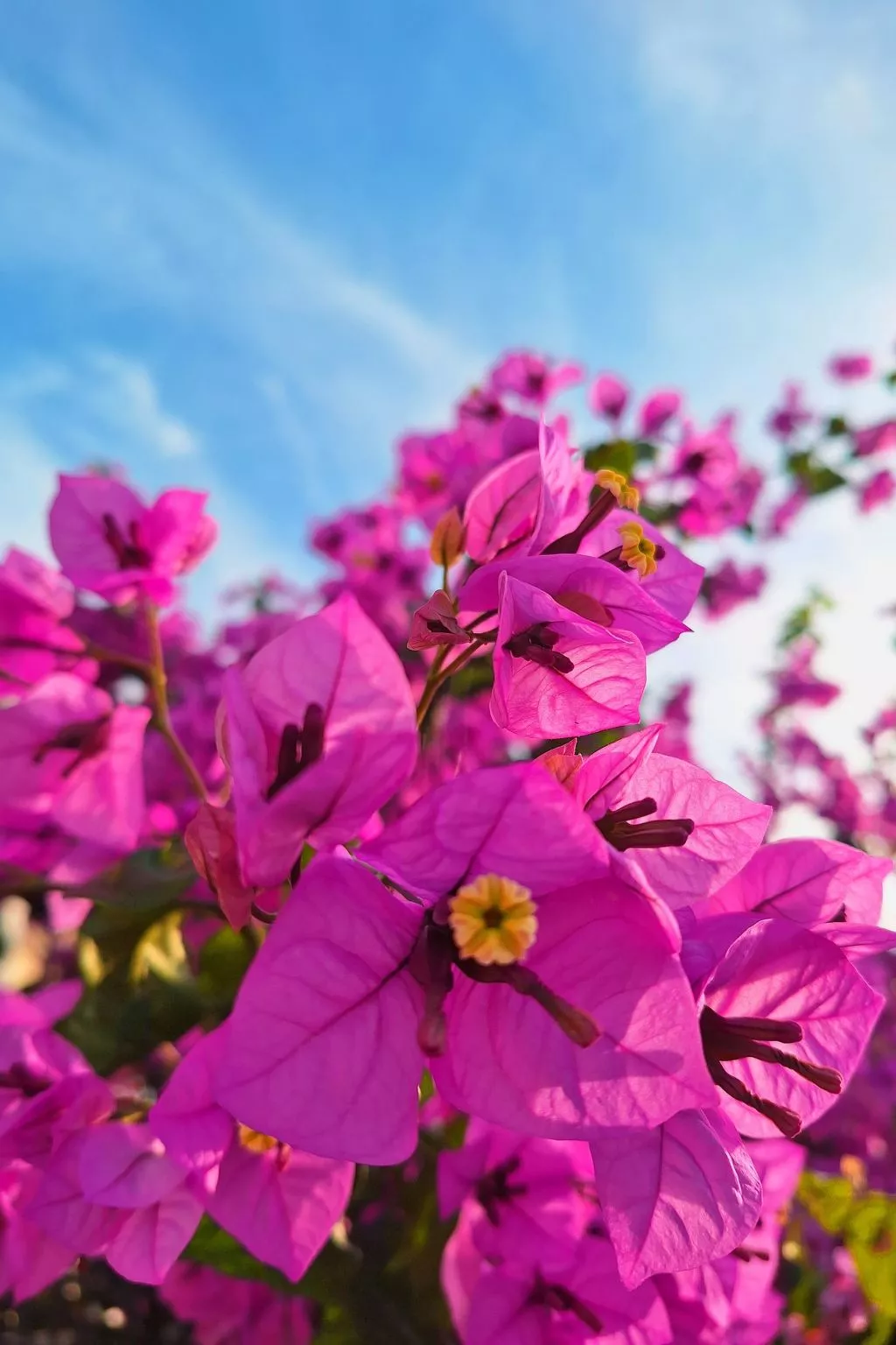 Große Wohnung in Pješčana Uvala mit Eigenem Balk - Image-tags.info