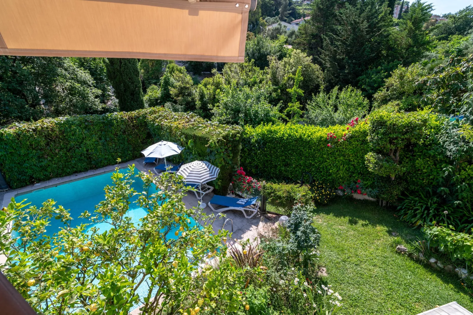 Oasis d'amon - Zwembad