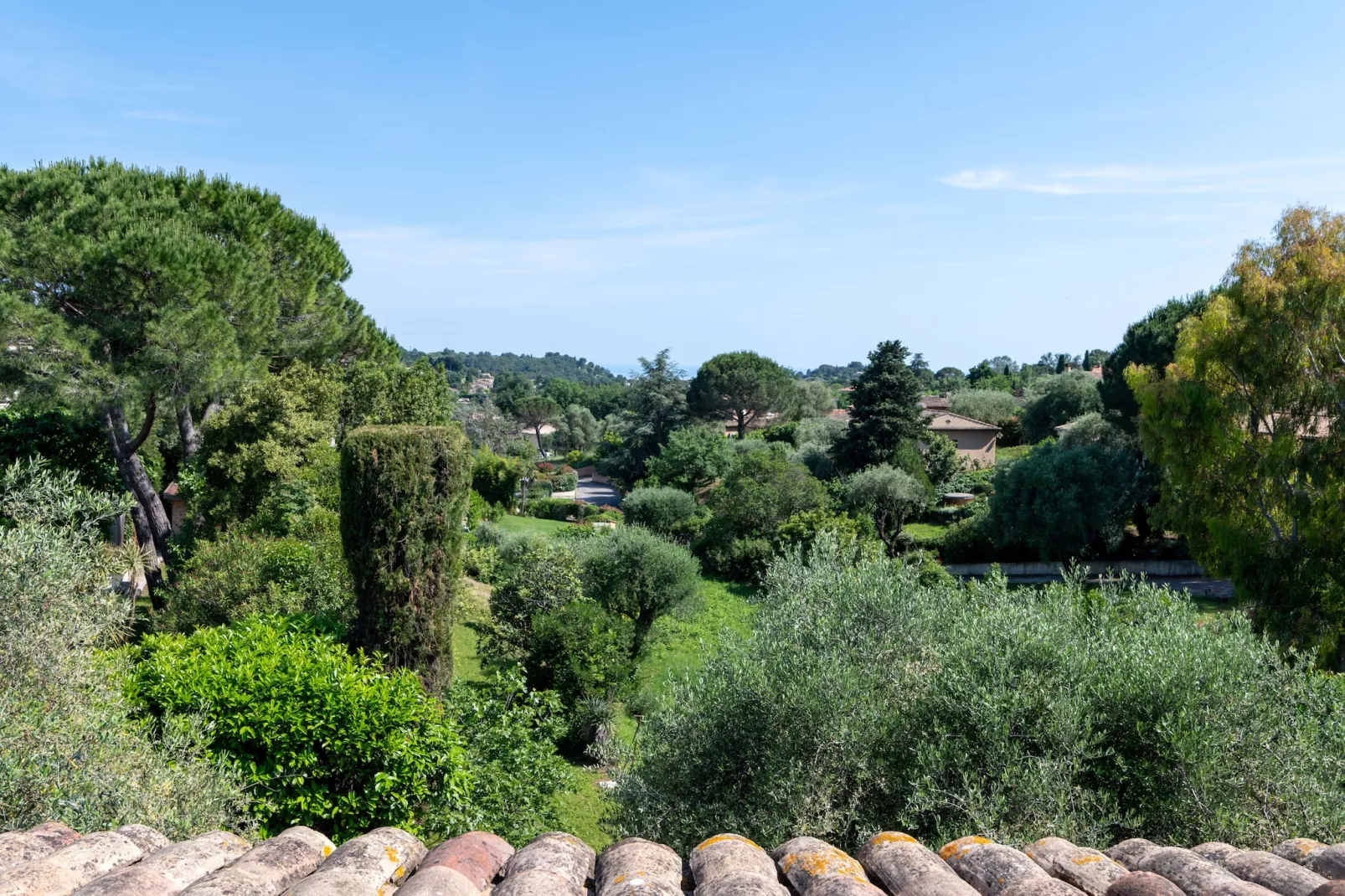 Oasis d'amon - Uitzicht zomer