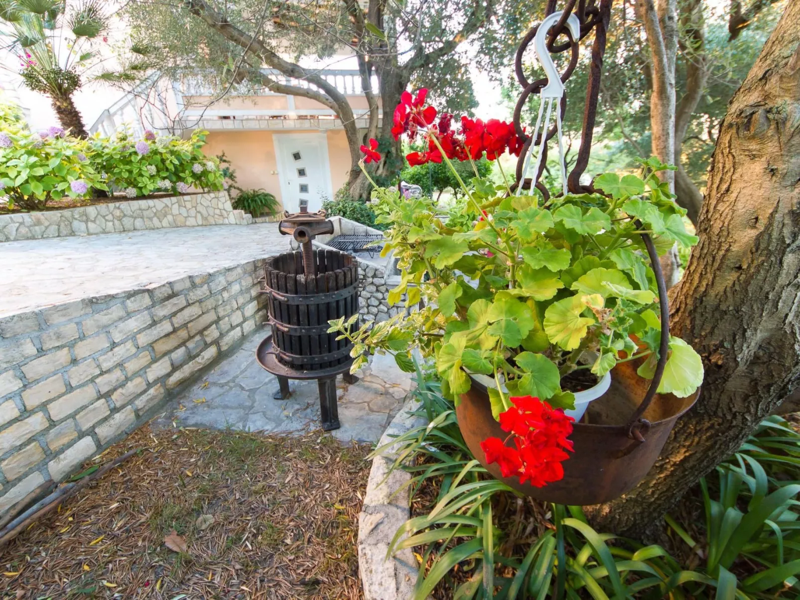 Mit Terrasse - Image-tags.info