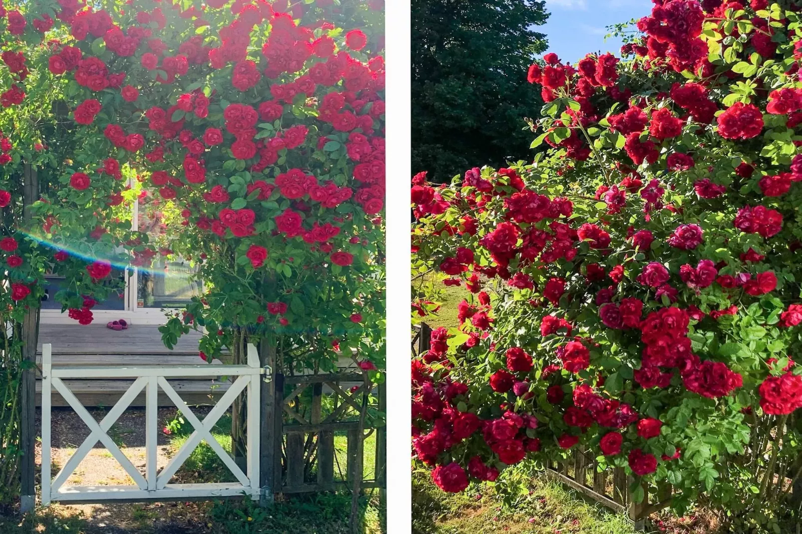 4 sterren vakantie huis in FÄRJESTADEN - Buitenlucht