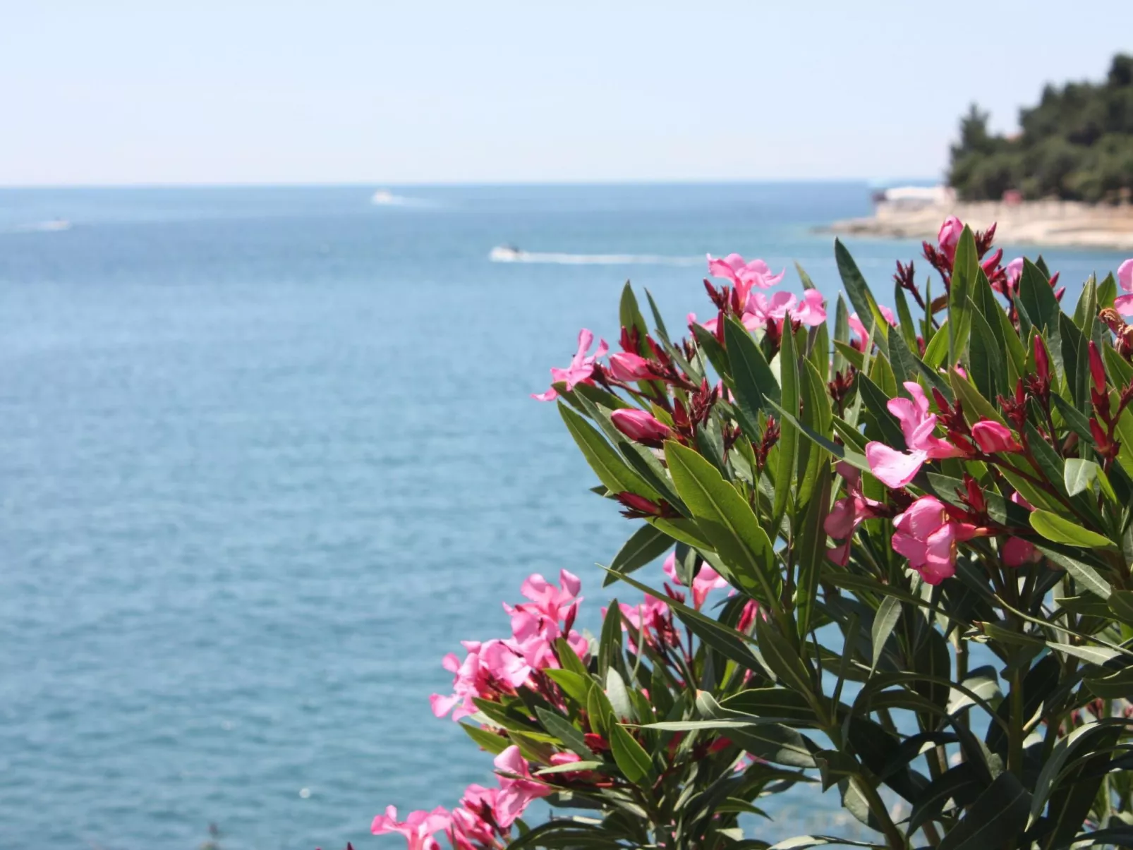 Große Wohnung in Pješčana Uvala mit Eigenem Balk - Image-tags.info