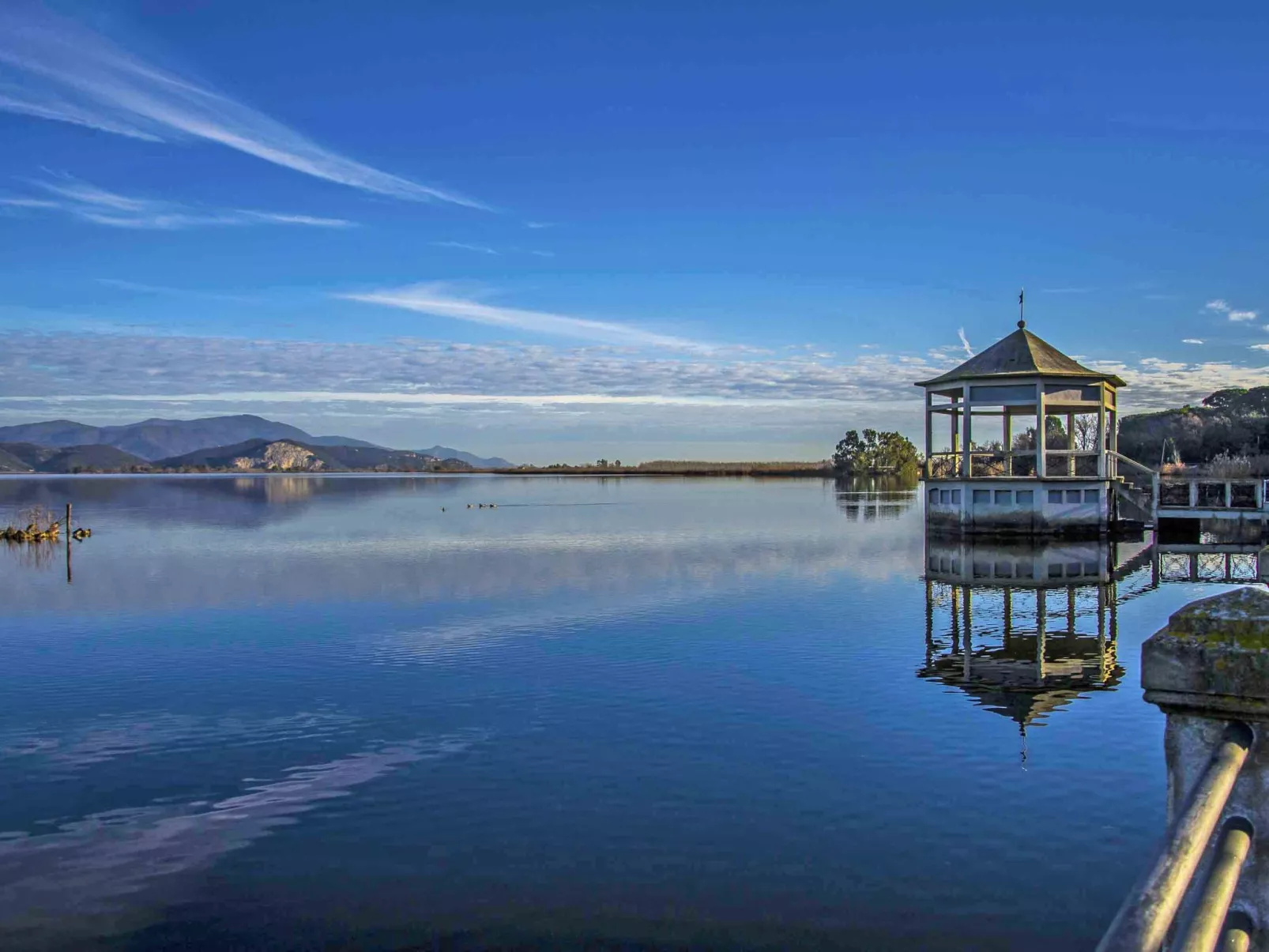 Life Tower - Omgeving