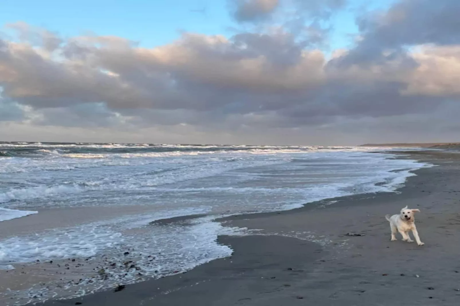 8 persoons vakantie huis in Melby - Waterzicht