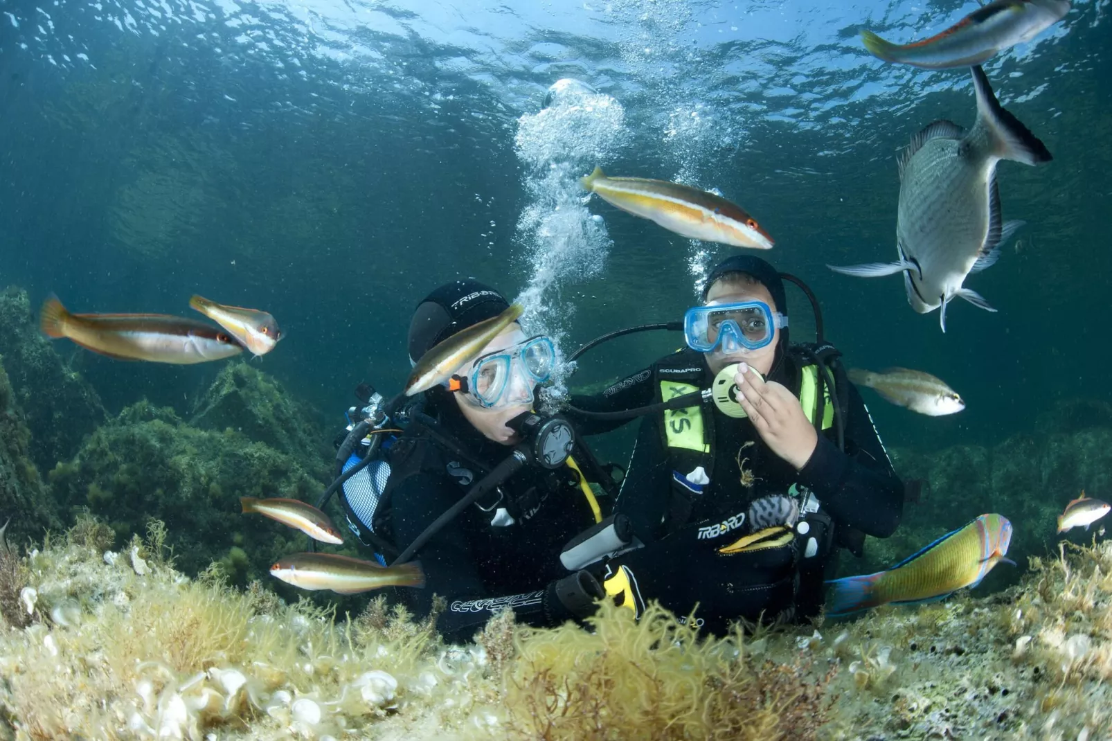 Studio Kalliste pour 2 personnes - Gebieden zomer 5km