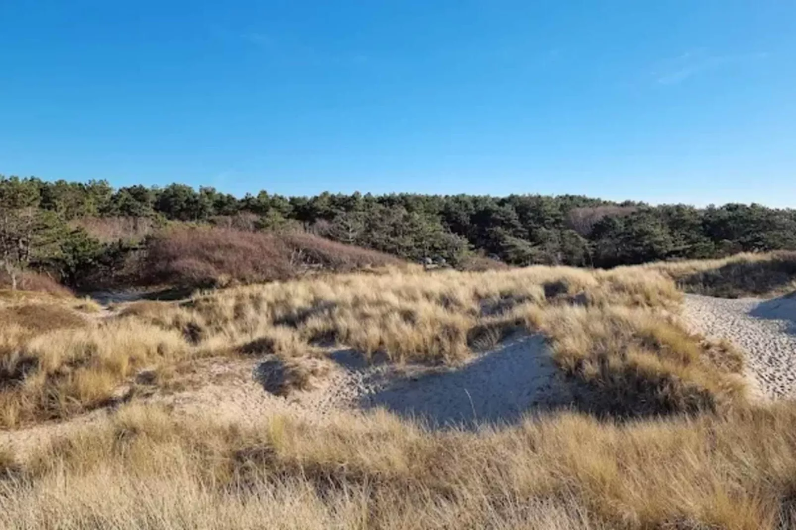 8 persoons vakantie huis in Melby - Waterzicht