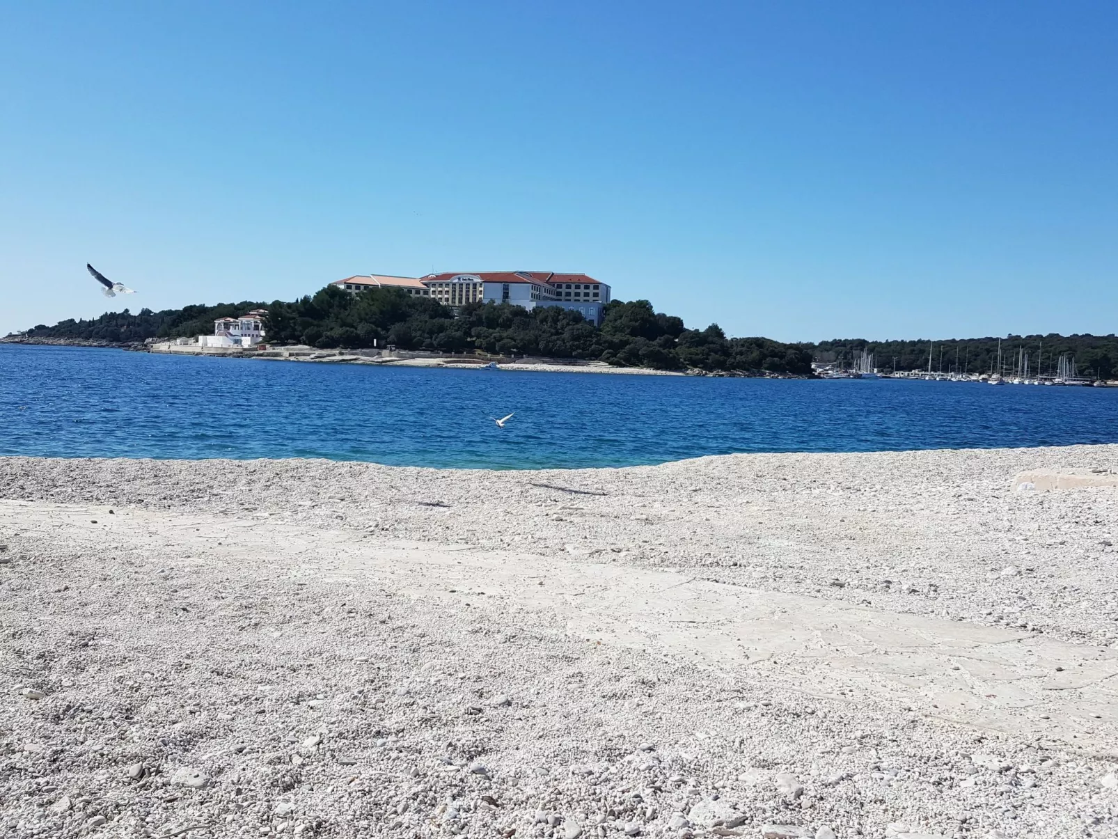 Große Wohnung in Pješčana Uvala mit Eigenem Balk - Image-tags.info