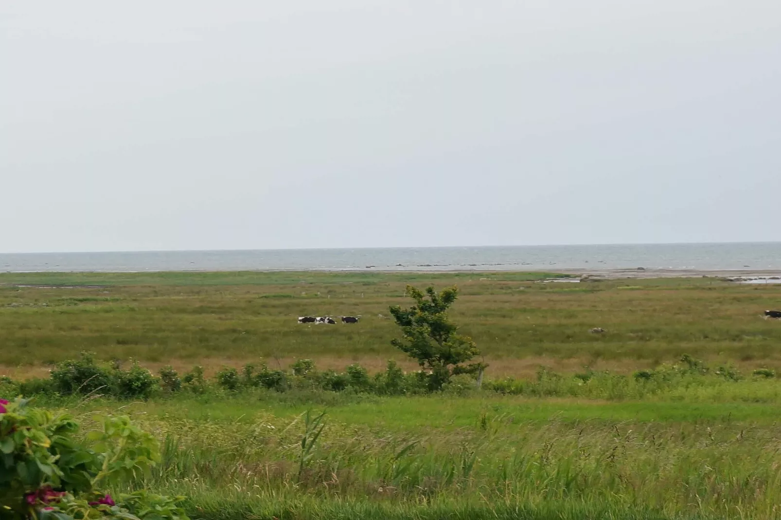 4 Personen vakantie huis in Tvååker - Niet-getagd