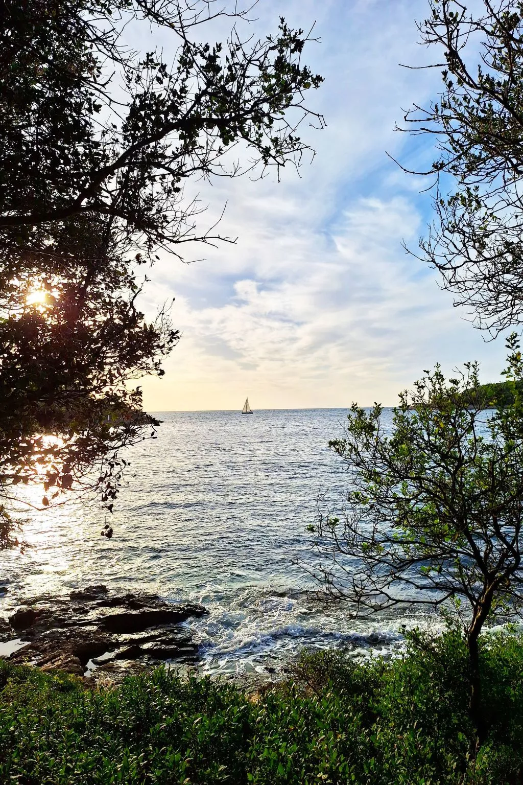 Große Wohnung in Pješčana Uvala mit Eigenem Balk - Image-tags.info