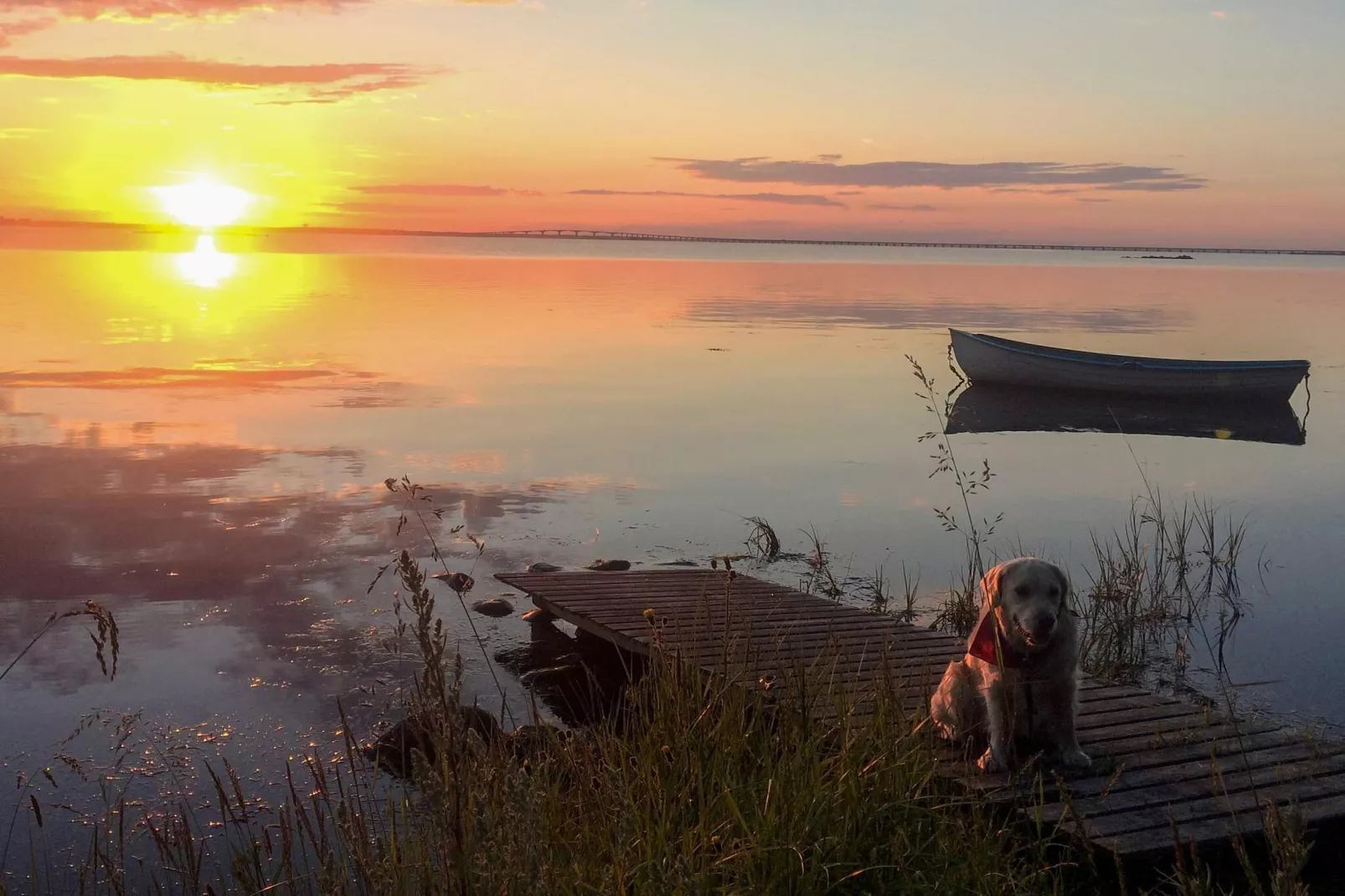 4 sterren vakantie huis in FÄRJESTADEN - Niet-getagd