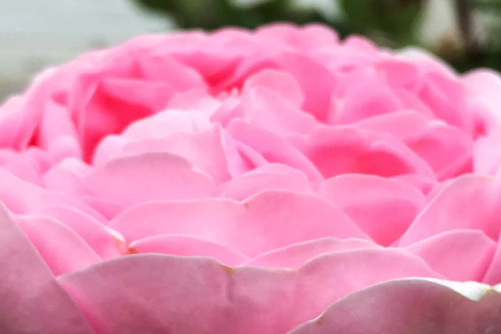 4 sterren vakantie huis in FÄRJESTADEN - Niet-getagd