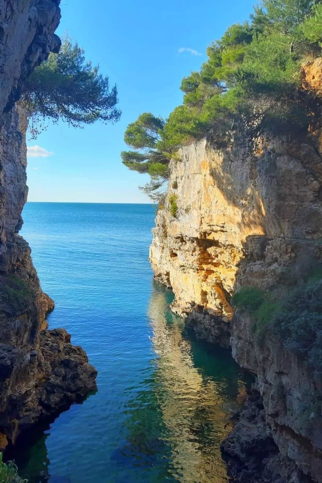 Große Wohnung in Pješčana Uvala mit Eigenem Balk - Image-tags.info