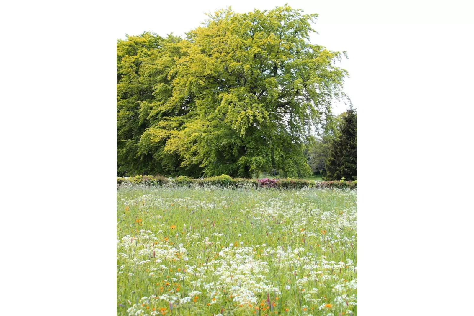 Haus Hunnenberg 2 - Gebieden zomer 1km
