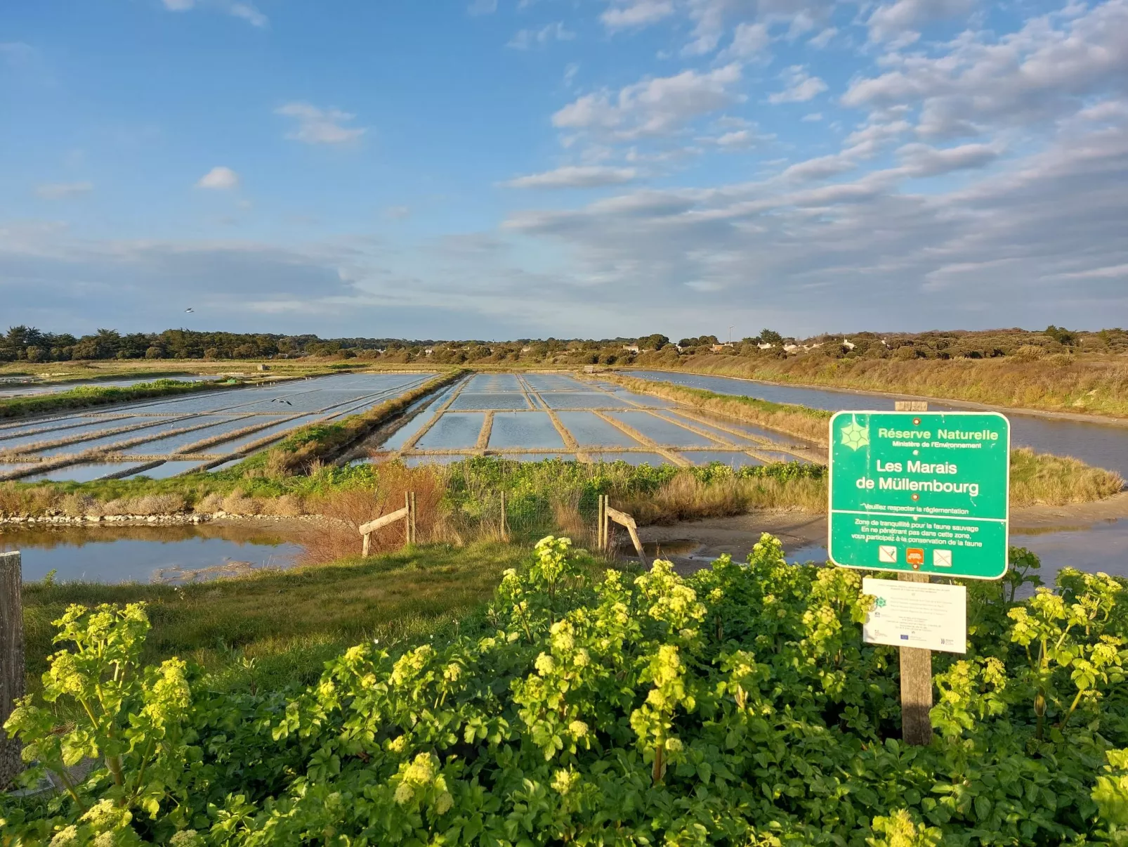 Tranquille en bord de Mer - Omgeving