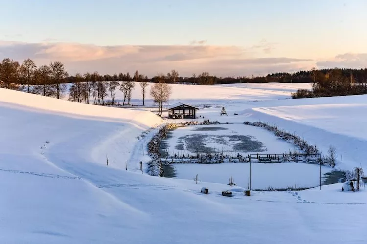 Dom wakacyjny LOFT 2 Nowy Podleś - Tuin winter
