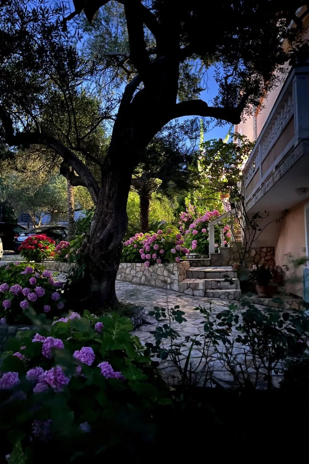 Mit Terrasse - Image-tags.info