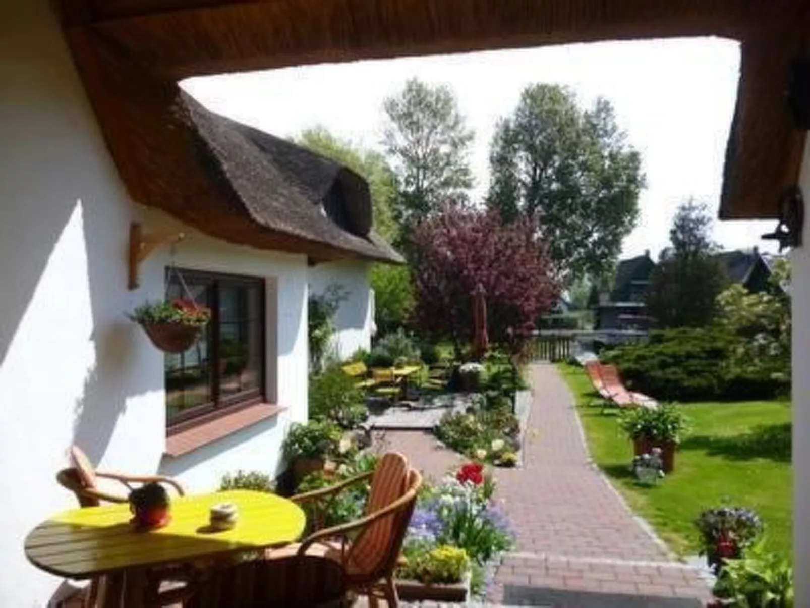 Morgensünn- Nette Wohnung in Althagen mit Terras