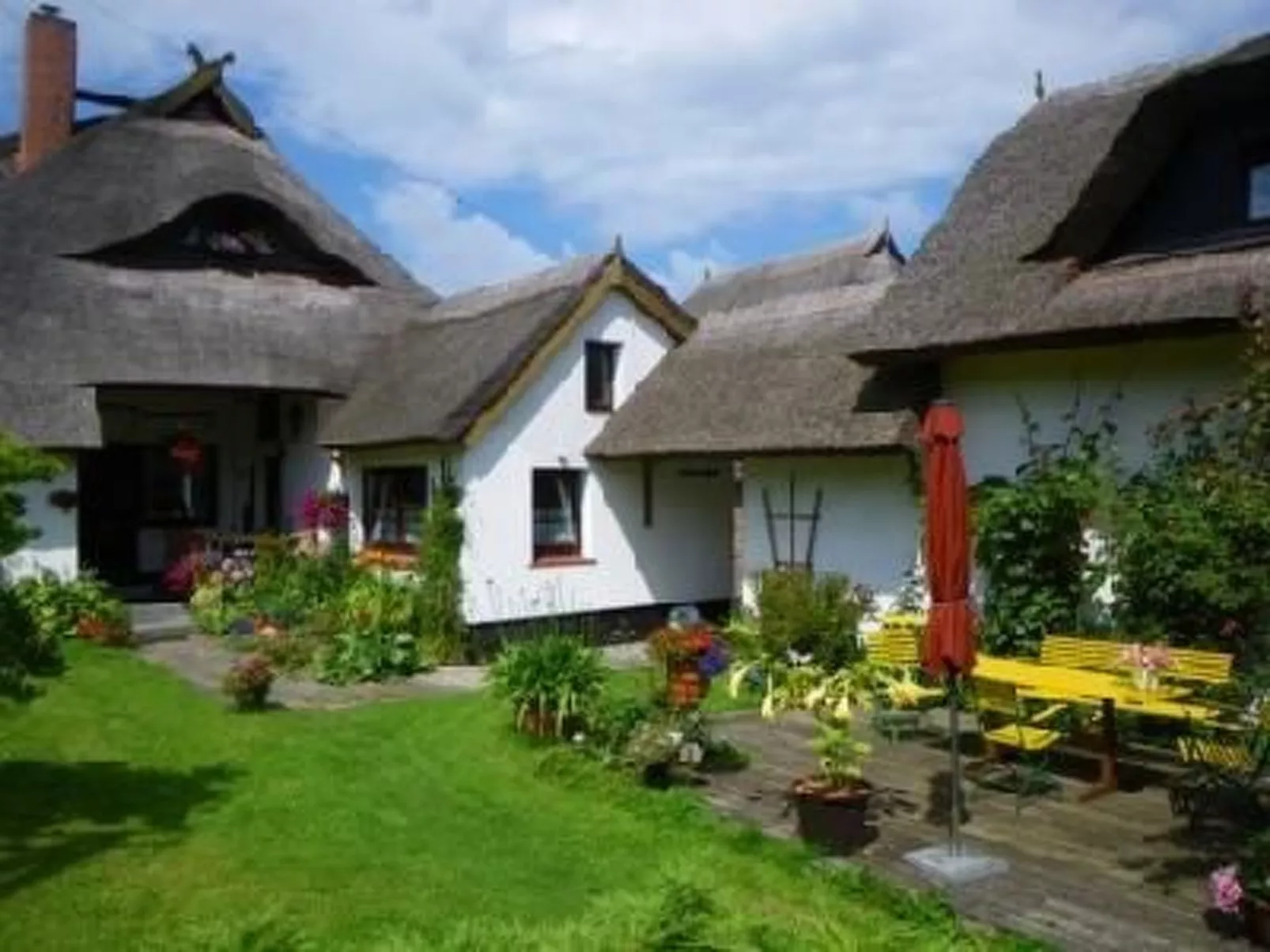 Morgensünn- Nette Wohnung in Althagen mit Terras