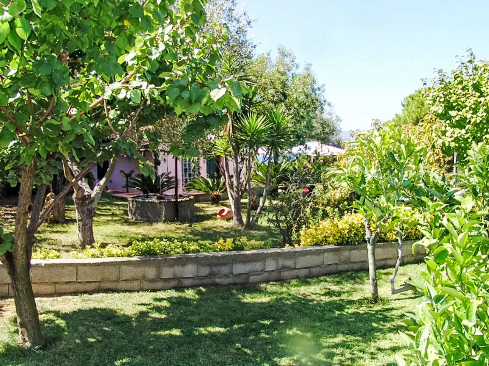 Villa Cecilia - Buiten