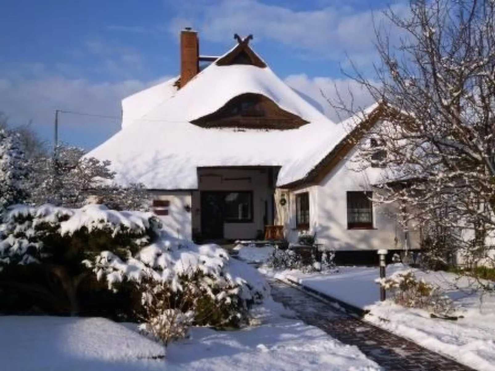 Morgensünn- Nette Wohnung in Althagen mit Terras - Buiten