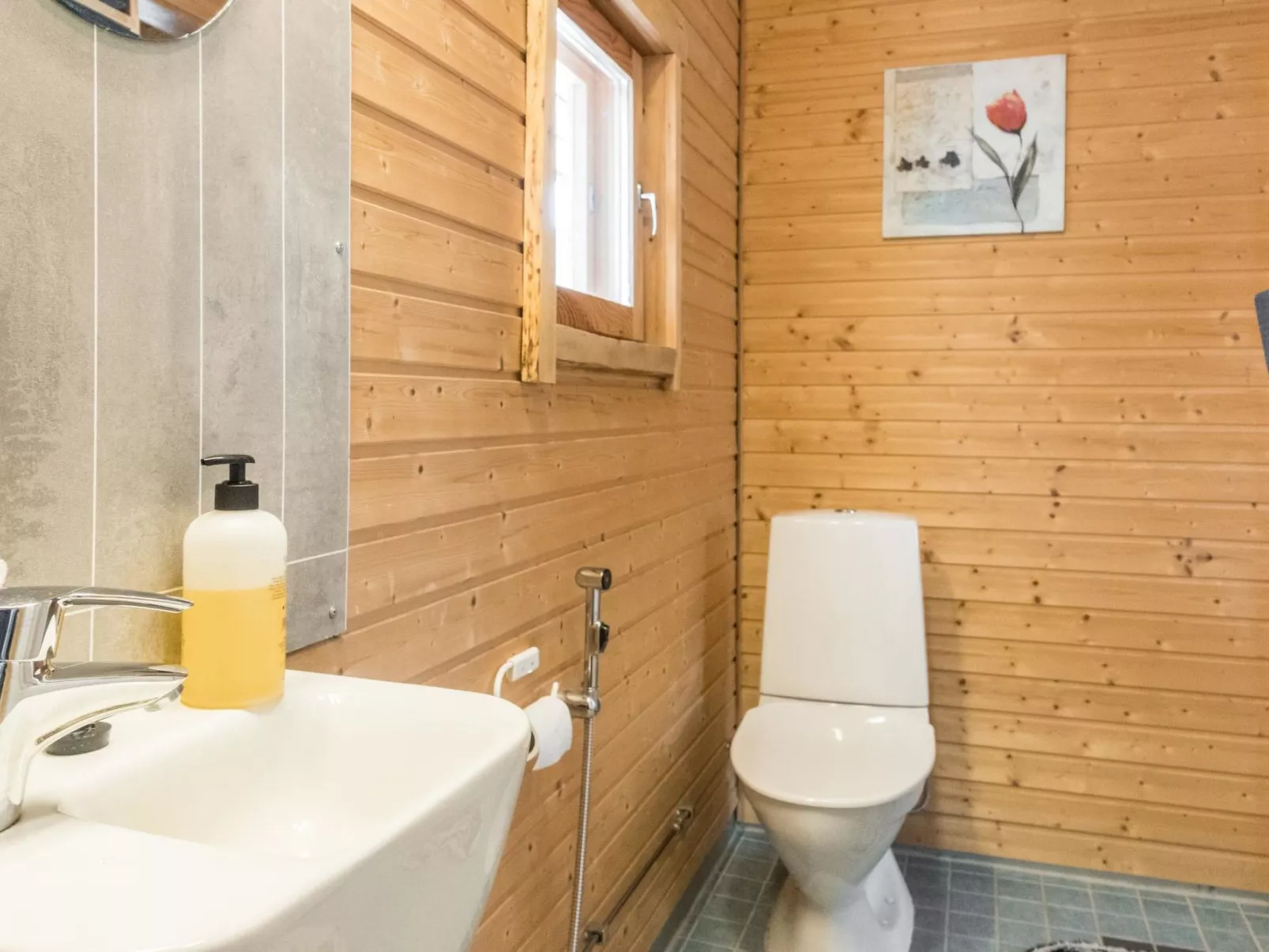 Pikkupöllö - Binnen