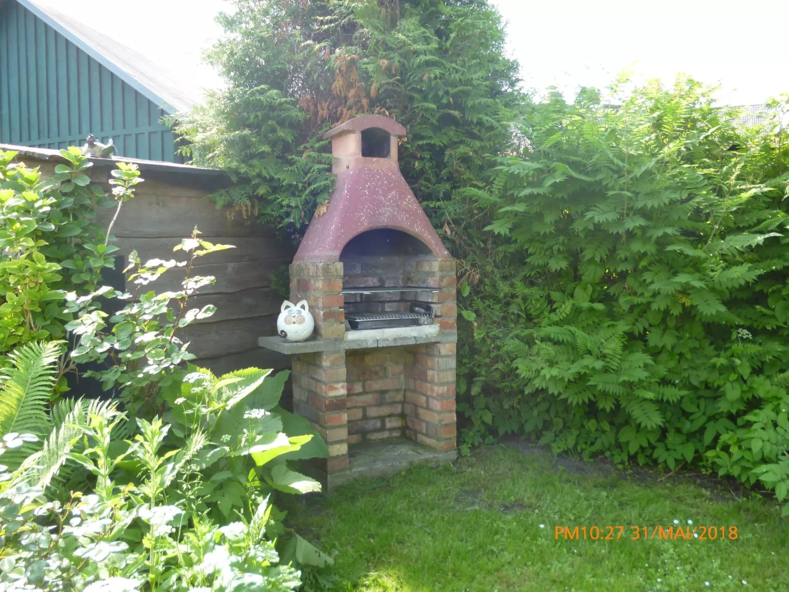 Morgensünn- Nette Wohnung in Althagen mit Terras - Buiten