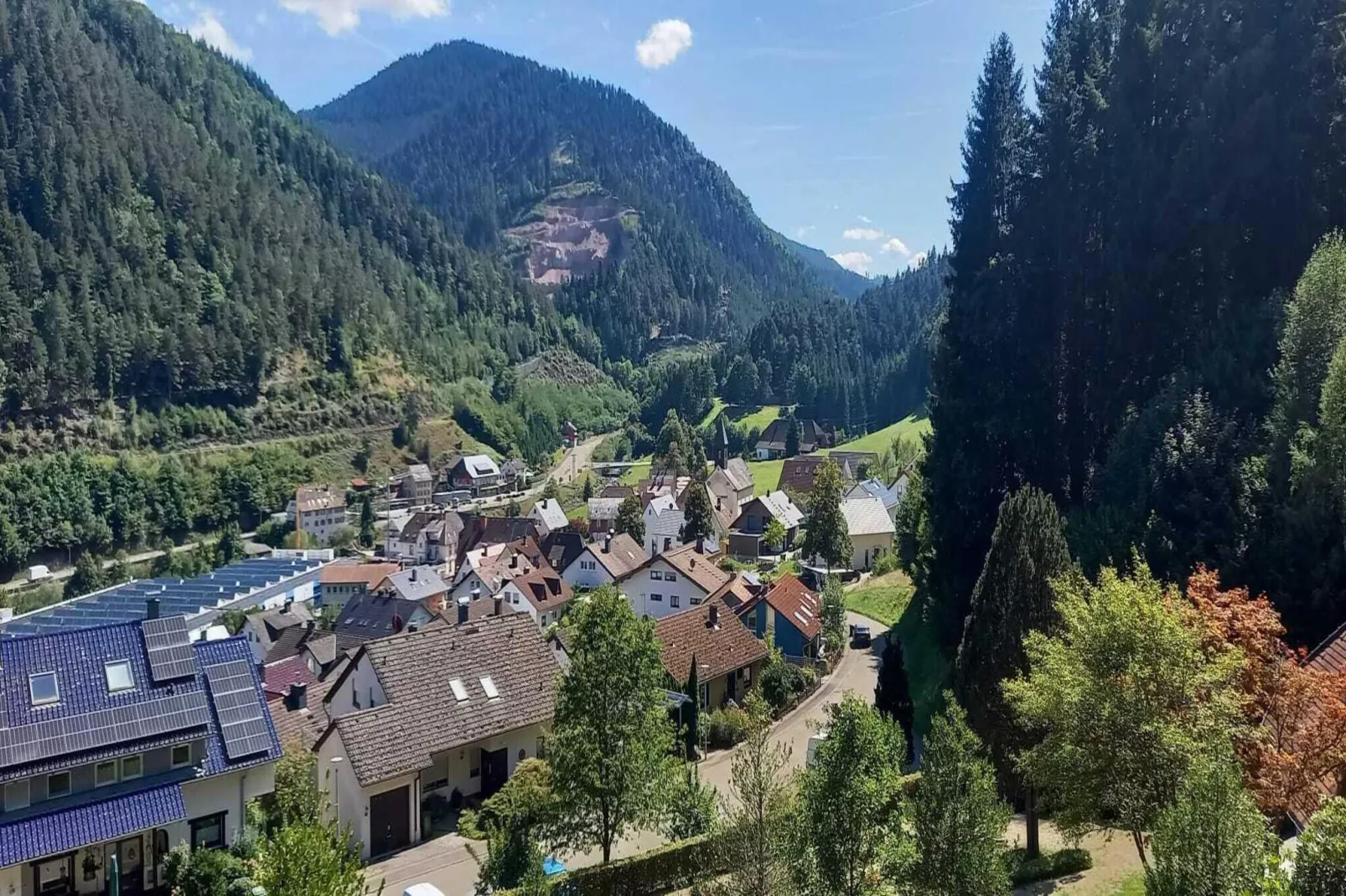 Ferienwohnung Läufer - Uitzicht zomer