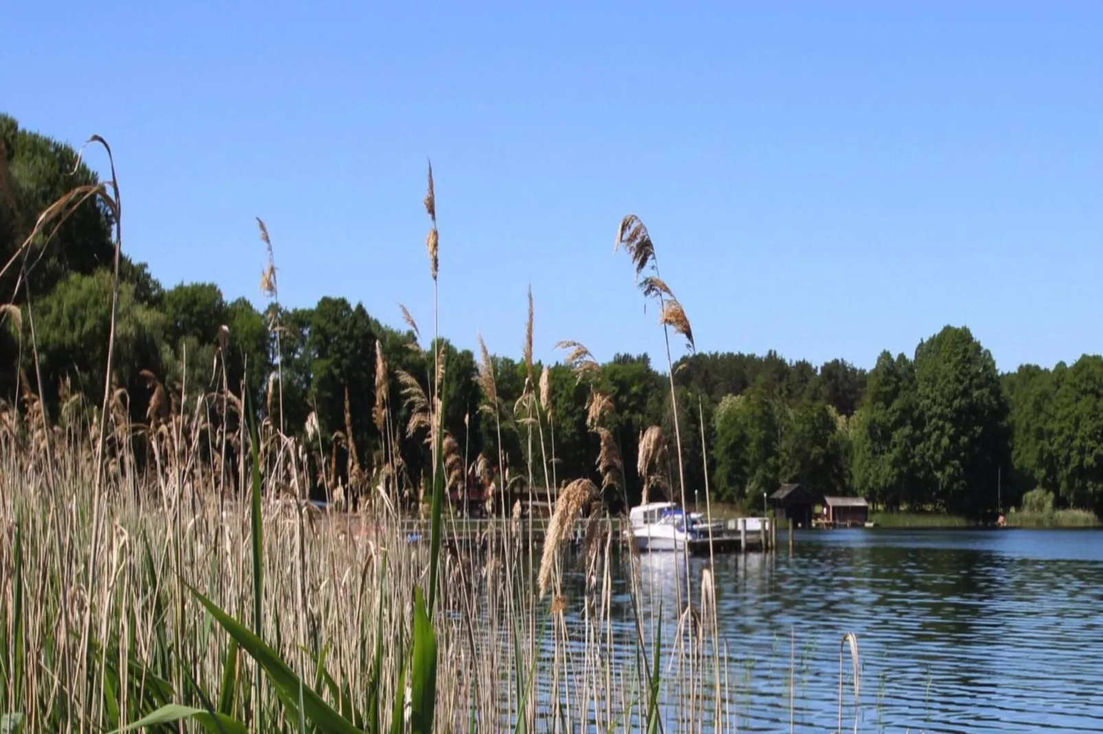 Bungalow 6 Waren - Waterzicht