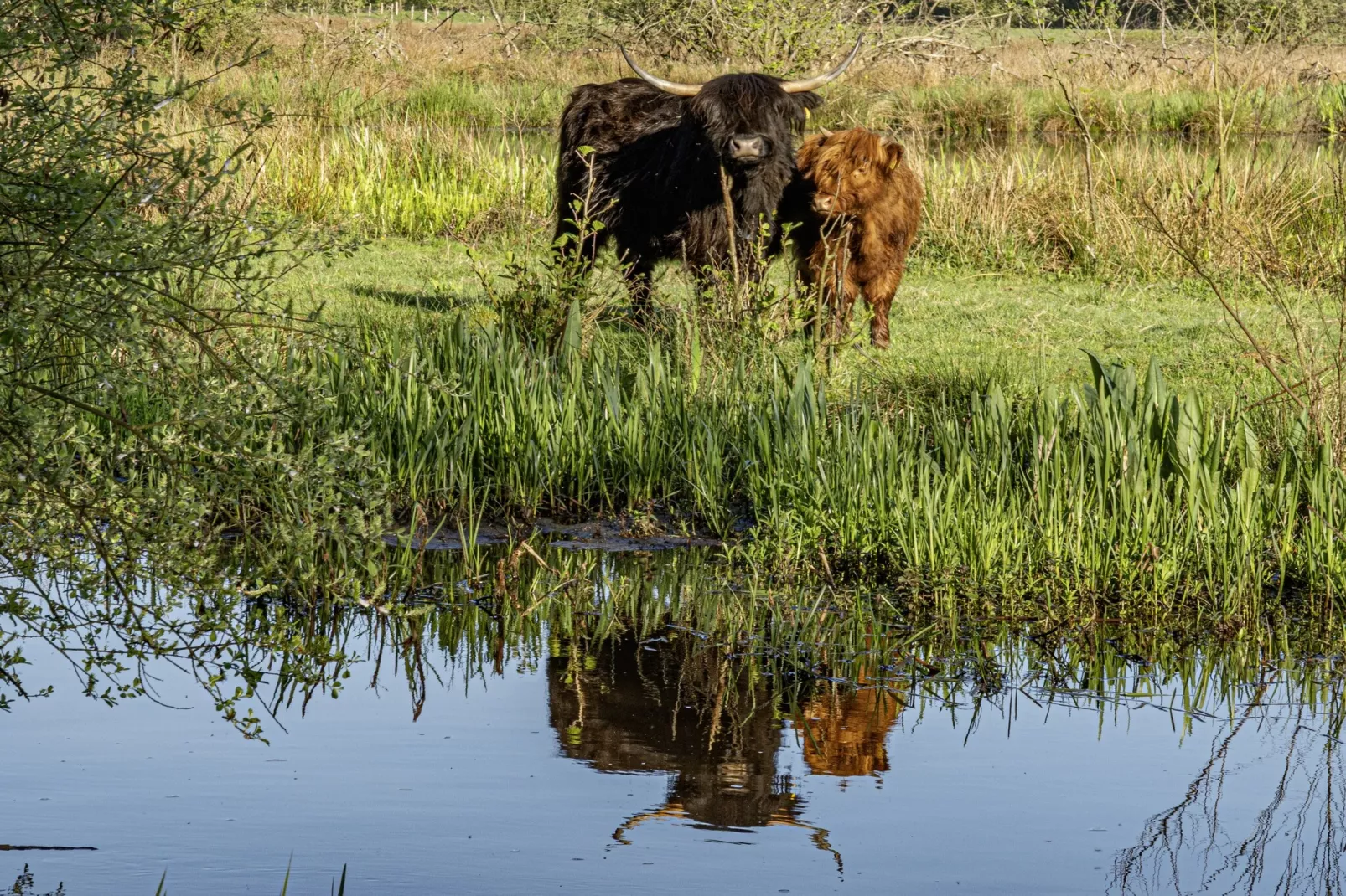 Malta 7D- Ground - Gebieden zomer 1km