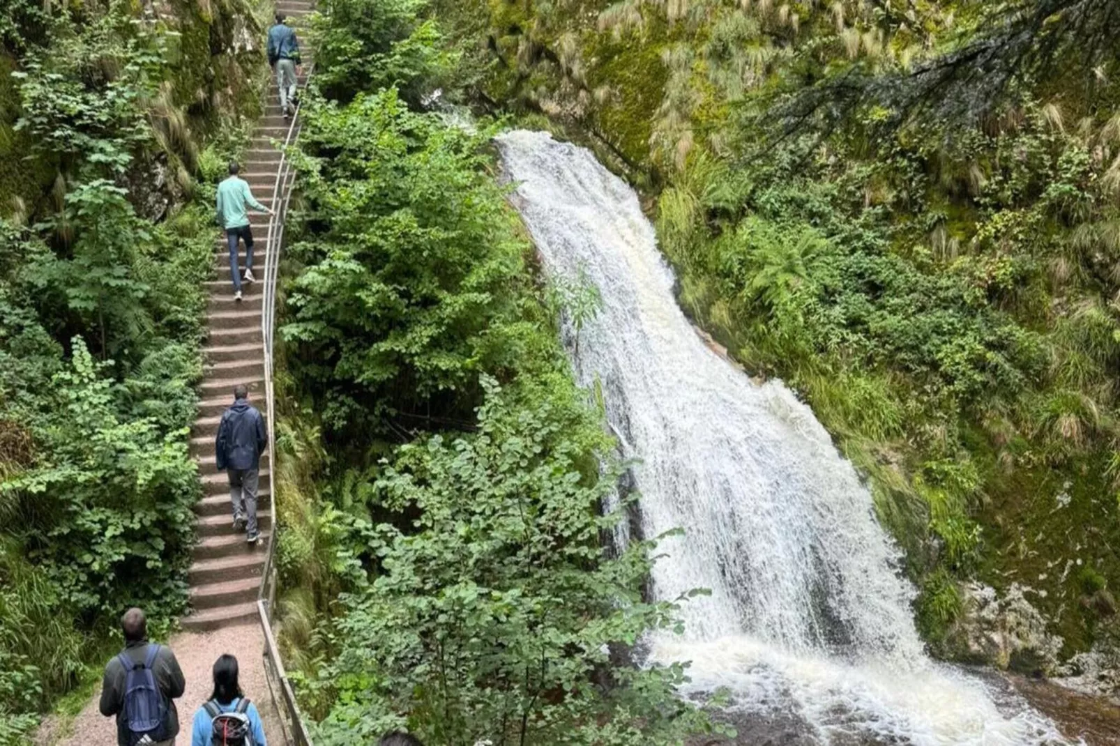 Ferienwohnung Läufer - Gebieden zomer 5km