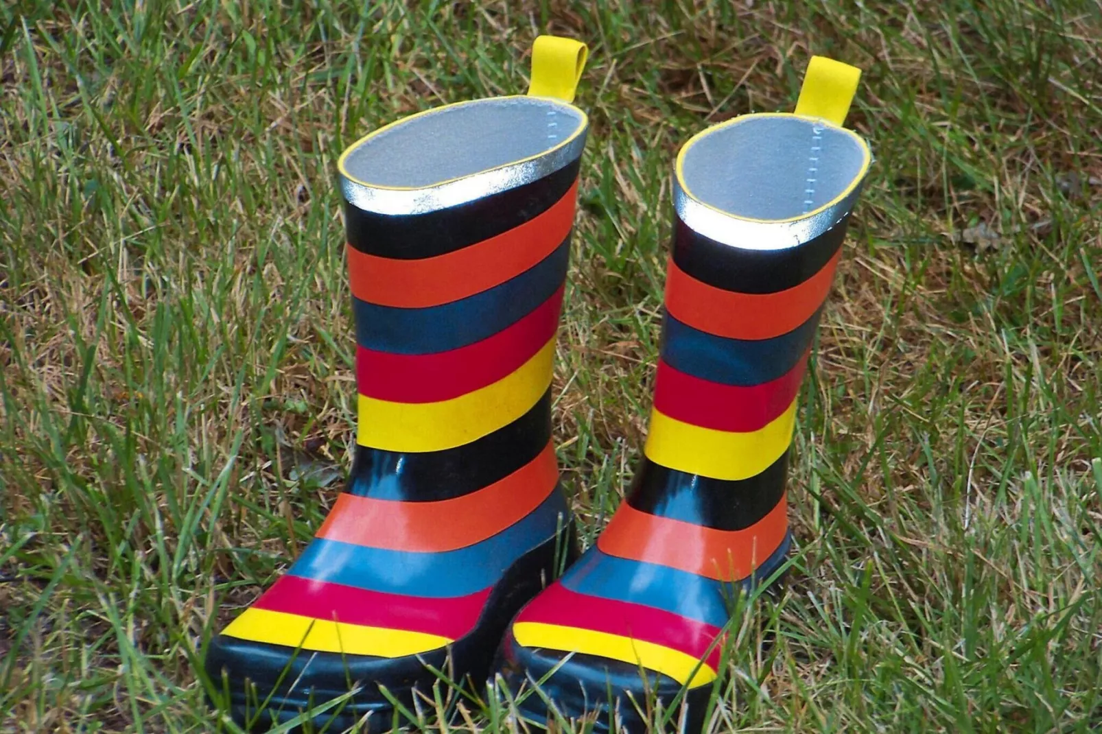 Ferienwohnung Läufer - Gebieden zomer 5km