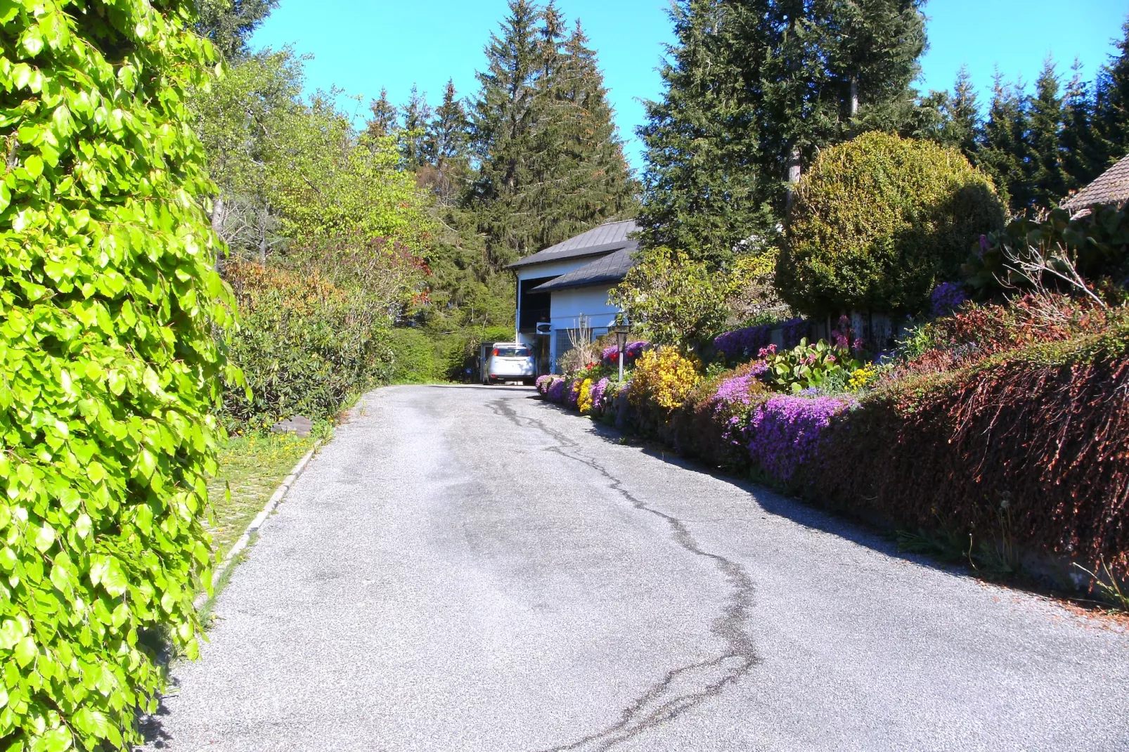 Gütenbach - Gebieden zomer 1km