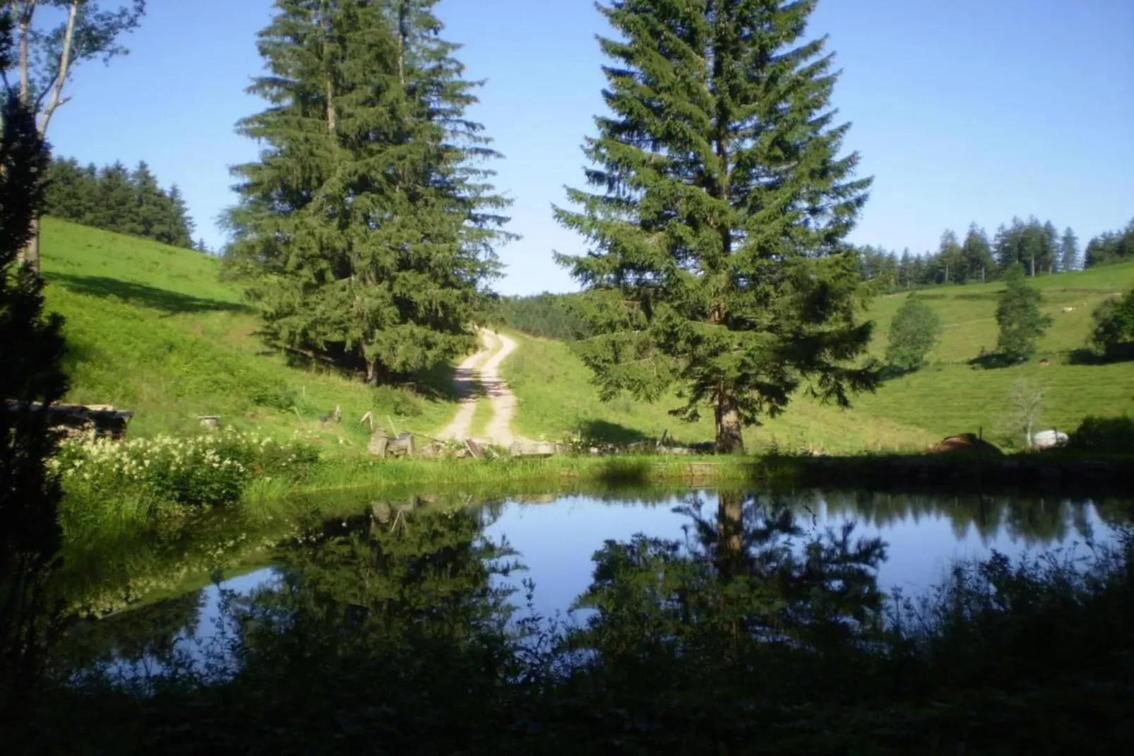Gütenbach - Gebieden zomer 20km