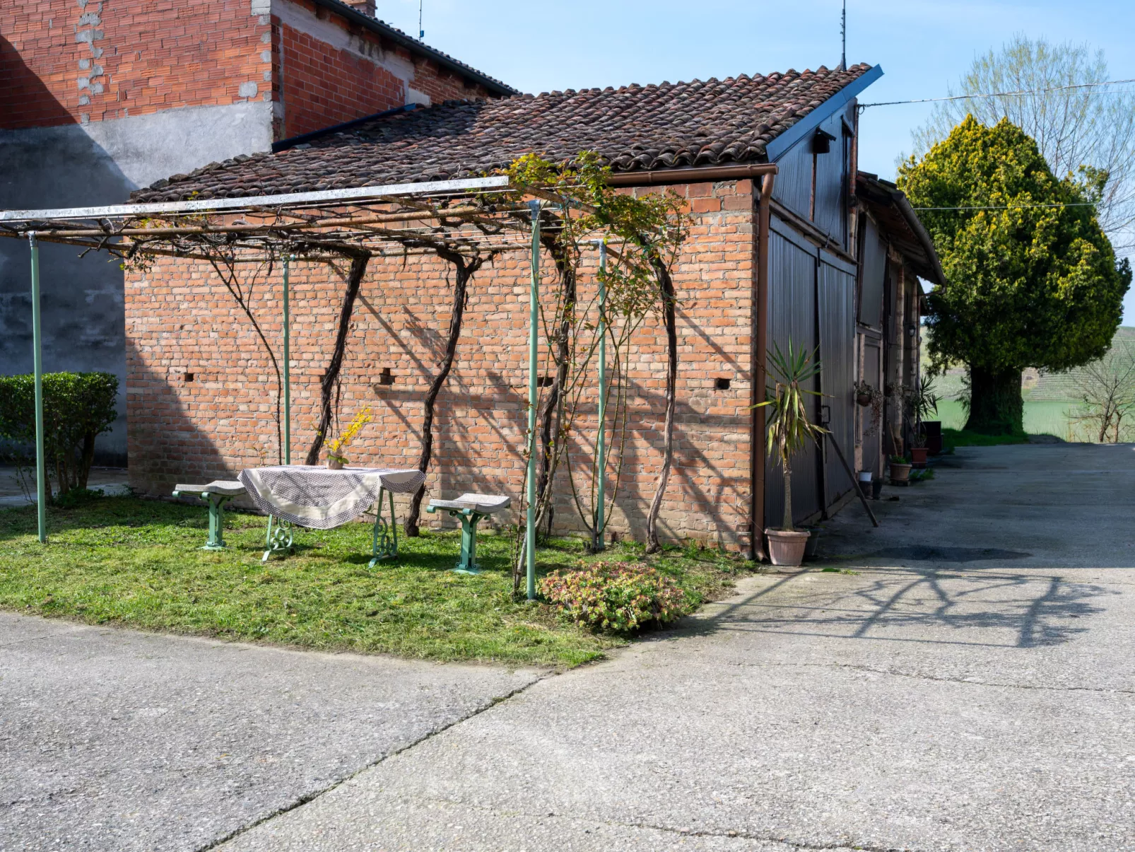 Barba Pipin - Buiten