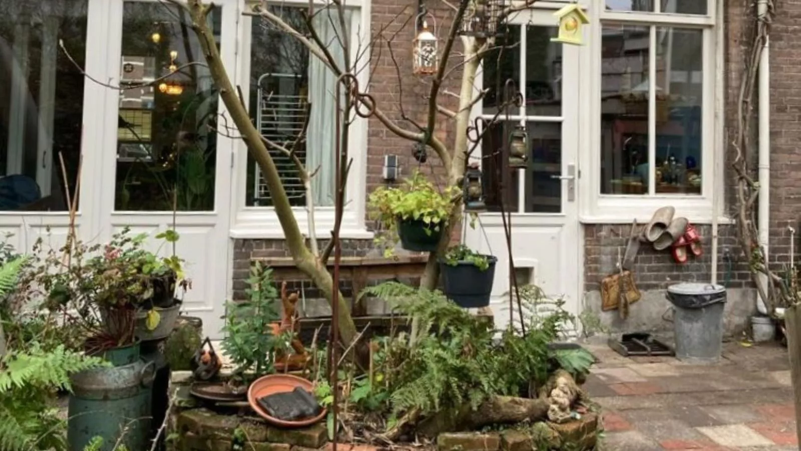 De Kleine Regentes - Tuin winter