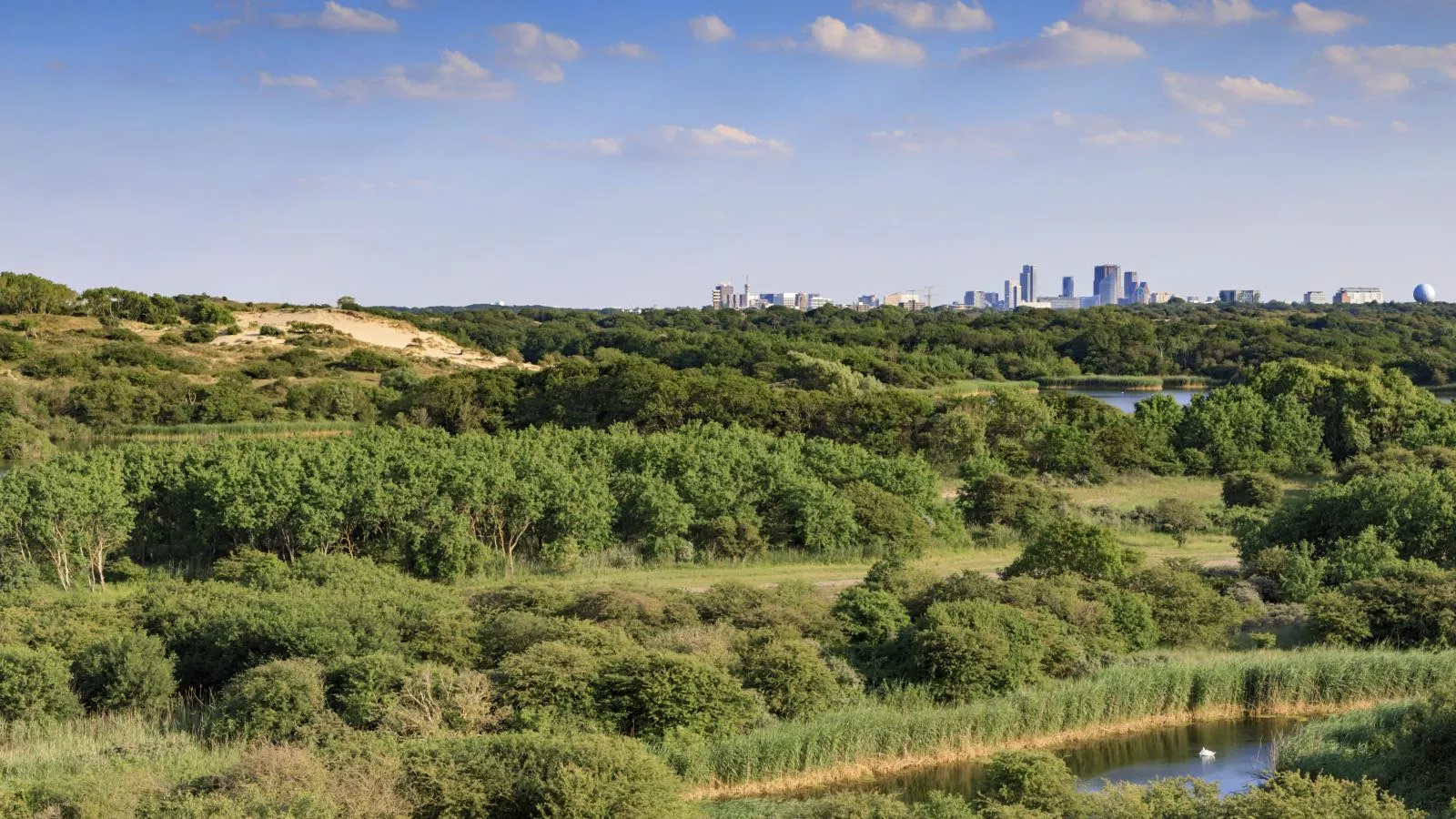 De Kleine Regentes - Gebieden zomer 5km