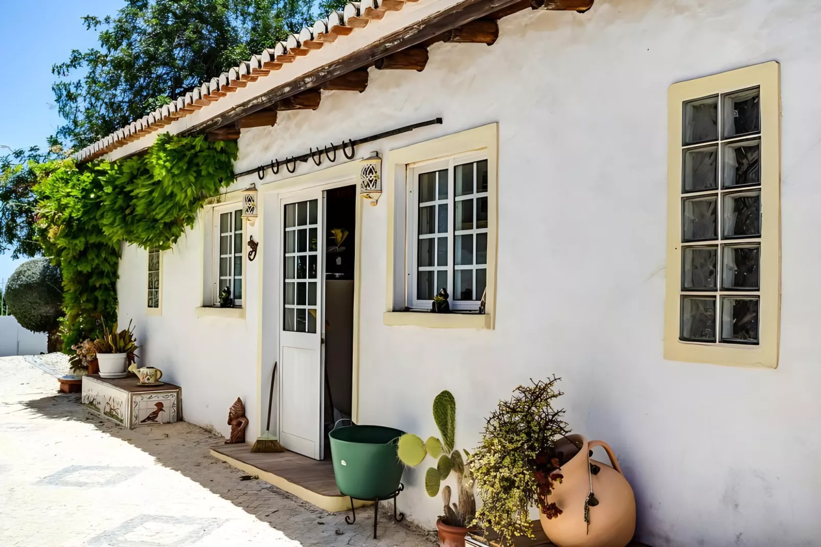 Girassol Apartment in Quinta Velha by GT House - Buitenkant zomer