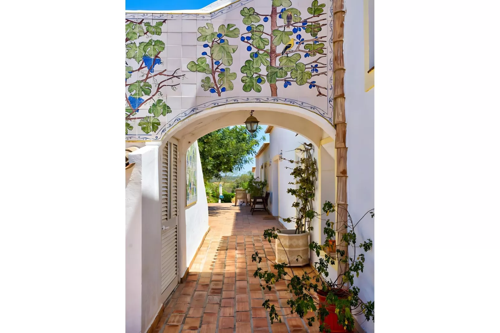 Girassol Apartment in Quinta Velha by GT House - Hal-ontvangst