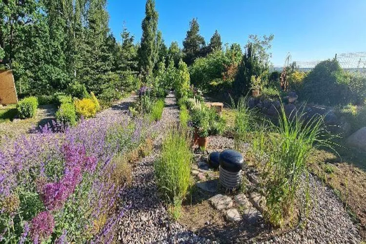 Dom wakacyjny z basenem w Kielnie - Tuinen zomer