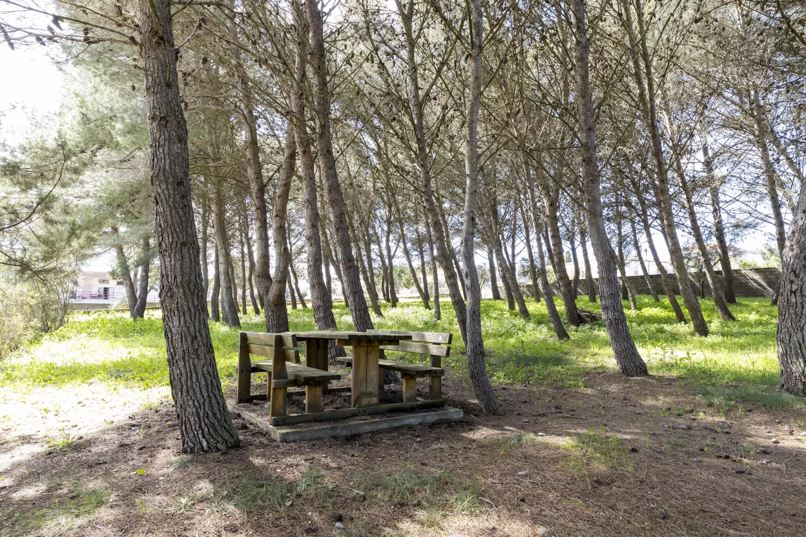 CASA ALBERICI - Gebieden zomer 5km